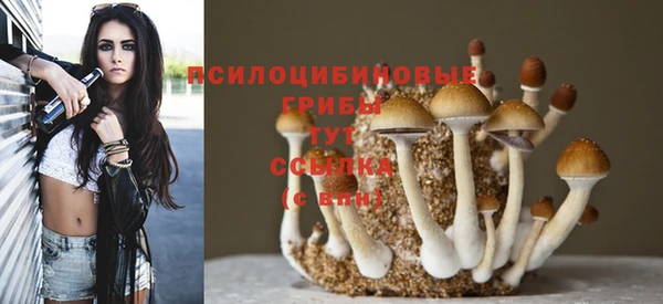 герыч Домодедово