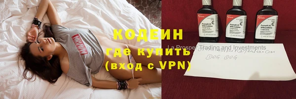 шишки Чита